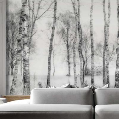 Papier peint panoramique noir et blanc Fort de bouleaux